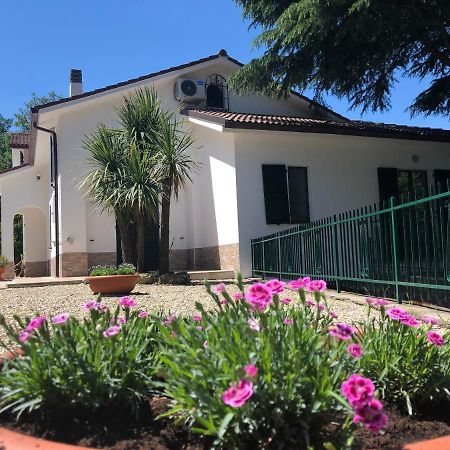 B&B Zac House Тойрано Экстерьер фото
